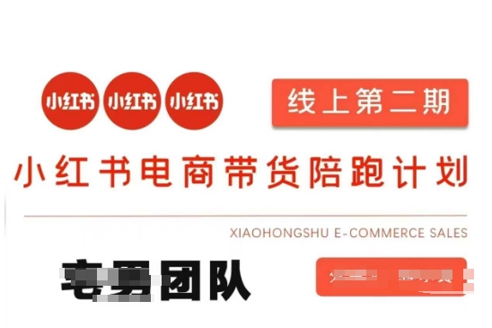 小红书电商带货课2期，月利润20个的小红书电商的有货源，无货源，虚拟产品，付费投流等整套玩法-chywc