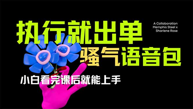 爆火全网的开车导航骚气语音包,只要执行就出单，小白看完课程就能实操…-chywc