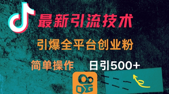 最新引流方法，引爆全平台的一个创业粉，简单操作日引300+-chywc
