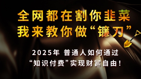 全网都在割你韭菜，我来教你做镰刀，2025普通人如何通过知识付费，实现财F自由【揭秘】-chywc