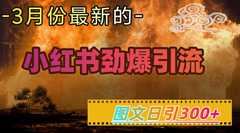 小红书超劲爆引流手段，图文日引300+轻松变现1W-chywc