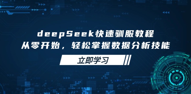deepSeek快速驯服教程，从零开始，轻松掌握数据分析技能-chywc