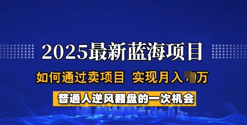 2025蓝海项目，普通人如何通过卖项目，实现月入过W，全过程【揭秘】-chywc
