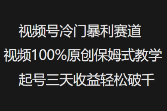 视频号冷门暴利赛道视频100%原创保姆式教学起号三天收益轻松破千-chywc