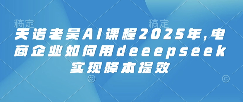 天诺老吴AI课程2025年，电商企业如何用deeepseek实现降本提效-chywc