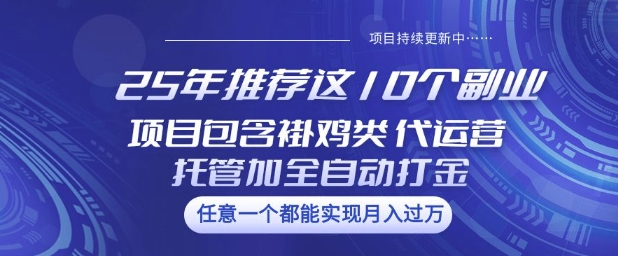 25年推荐这10个副业项目包含褂鸡类、代运营托管类、全自动打金类【揭秘】-chywc
