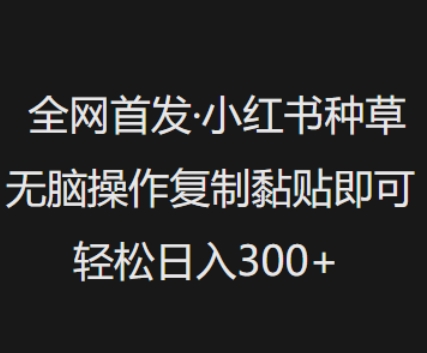 全网首发，小红书种草无脑操作，复制黏贴即可，轻松日入3张-chywc