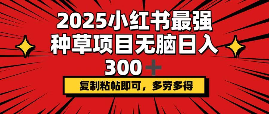 2025小红书最强种草项目，无脑日入300+，复制粘帖即可，多劳多得-chywc