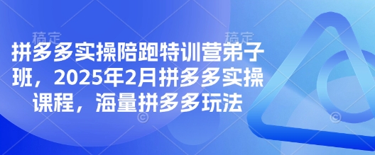 拼多多实操陪跑特训营弟子班，2025年2月拼多多实操课程，海量拼多多玩法-chywc