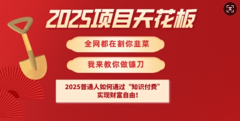 2025项目天花板普通人如何通过知识付费，实现财F自由【揭秘】-chywc