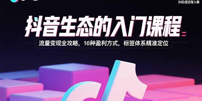 抖音生态的入门课程：流量变现全攻略，16种盈利方式，标签体系精准定位-chywc