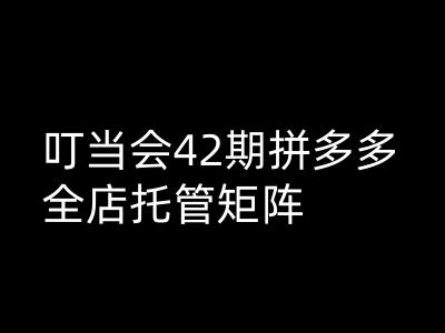 叮当会拼多多打爆班原创高阶技术第42期，拼多多全店托管矩阵-chywc
