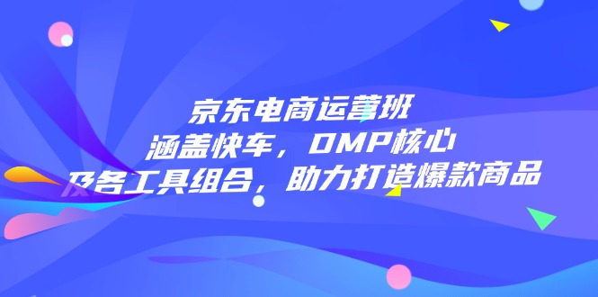 京东电商运营班：涵盖快车，DMP核心及各工具组合，助力打造爆款商品-chywc