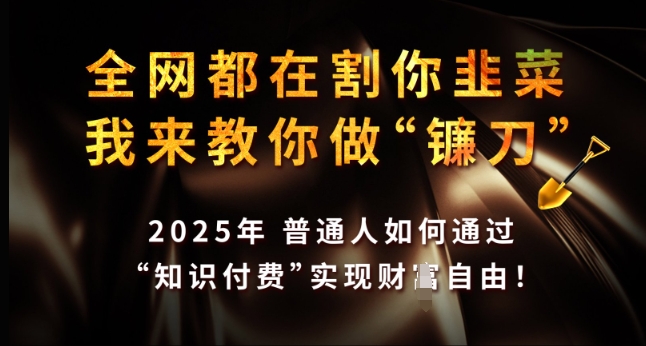 全网都在割你韭菜，我来教你做镰刀，2025年普通人如何通过 知识付费 实现财F自由【揭秘】-chywc