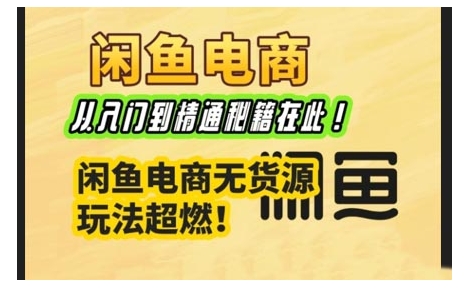 闲鱼电商实战课，从入门到精通秘籍在此，闲鱼电商无货源玩法超燃!-chywc