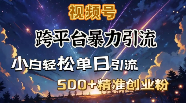 跨平台暴力引流，私域完美闭环，日引500+精准创业粉-chywc