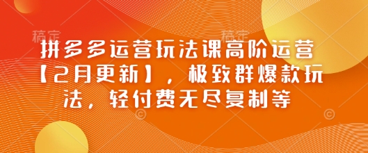 拼多多运营玩法课高阶运营【2月更新】，极致群爆款玩法，轻付费无尽复制等-chywc