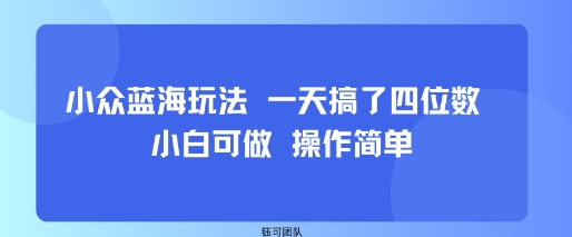 小众蓝海玩法 一天搞了四位数 小白可做 操作简单-chywc