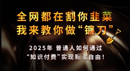 知识付费如何做到月入过W+，2025我来教你做“镰刀”【揭秘】-chywc