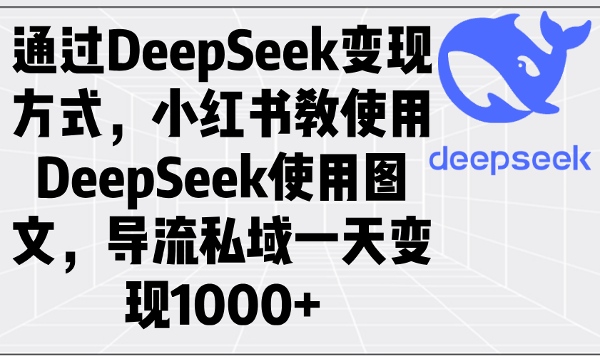 通过DeepSeek变现方式，小红书教使用DeepSeek图文，导流私域一天变现1000+-chywc