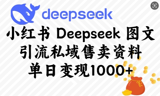小红书Deepseek图文引流私域售卖资料，单日变现多张-chywc