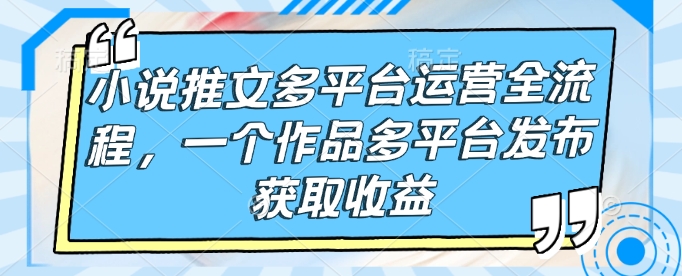 小说推文多平台运营全流程，一个作品多平台发布获取收益-chywc