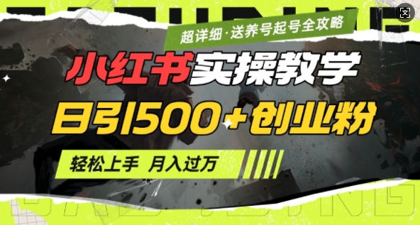 2月小红书最新日引500+创业粉实操教学【超详细】小白轻松上手，月入1W+，附小红书养号起号SOP-chywc