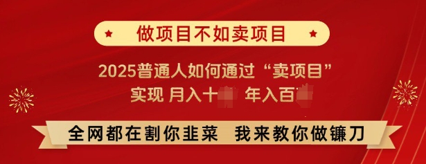 必看，做项目不如卖项目，2025普通人如何通过“卖项目”实现月入十个，年入百个-chywc
