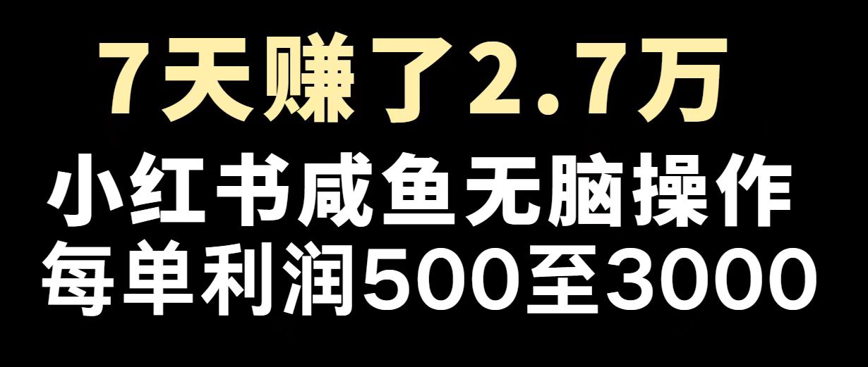 最赚钱项目之一，2025爆火，逆风翻盘！-chywc