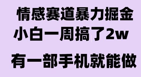情感暴力掘金项目，新人操作一周挣了2W，长期稳定小白可做【揭秘】-chywc