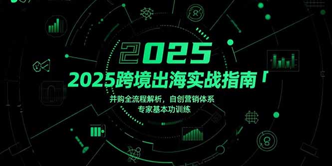 2025跨境出海实战指南，并购全流程解析，自创营销体系，专家基本功训练-chywc
