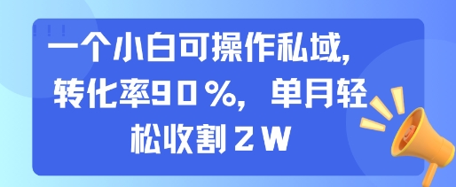 一个小白可操作私域，转化率90%，单月轻松收割2W-chywc