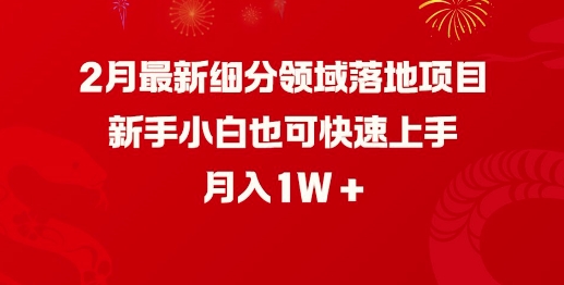 2月最新细分领域落地项目，新手小白也可快速上手，月入1W-chywc