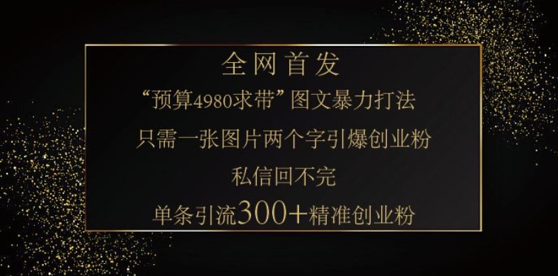 小红书神奇图片引流法，只需一张图，就能单条笔记凭借此方法，轻松引流 300 + 精准创业粉-chywc
