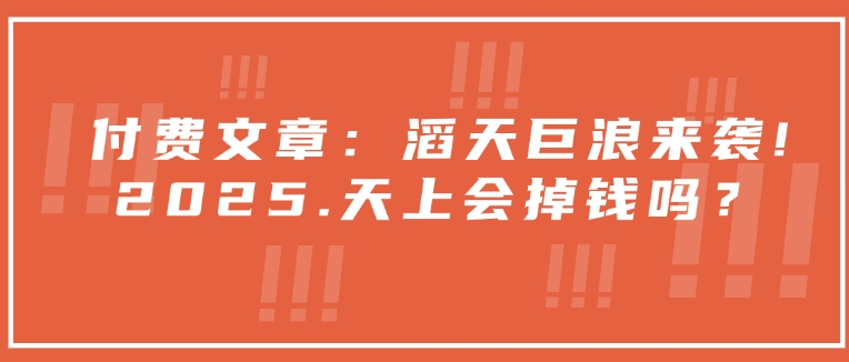 付费文章：滔天巨浪来袭！2025天上会掉钱吗？-chywc