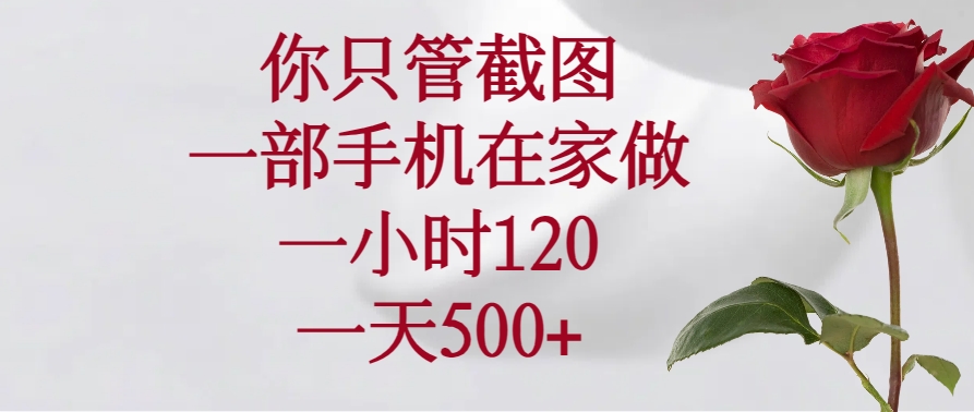 你只管截图，一部手机在家做，一小时120，一天500+-chywc