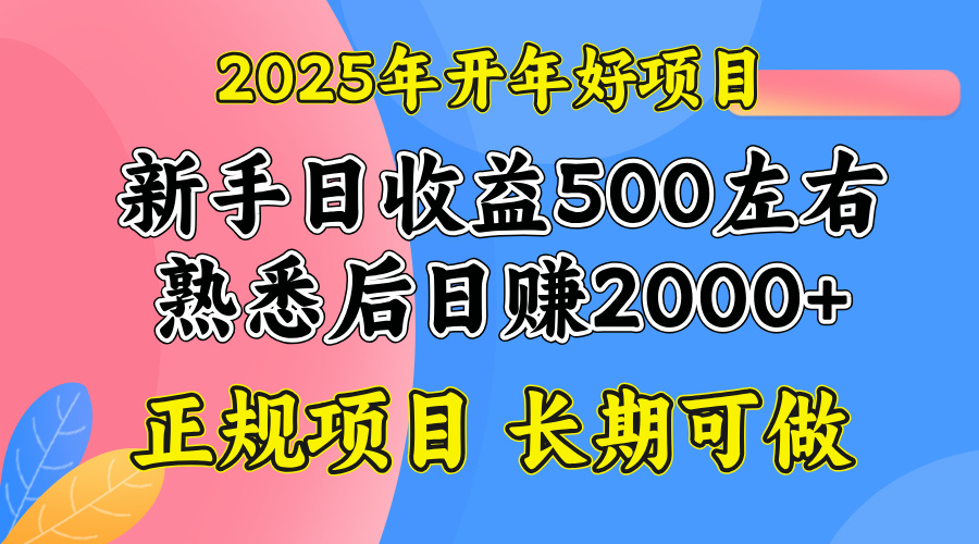 2025开年好项目，单号日收益2000左右-chywc