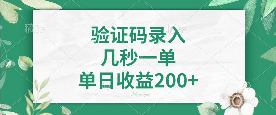 验证码录入，几秒一单，单日收益200+-chywc