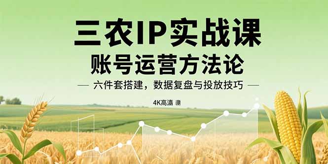 三农IP实战课：账号运营方法论，六件套搭建，数据复盘与投放技巧-chywc