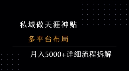 私域做天涯神贴 多平台布局 月入5k+详细流程拆解-chywc