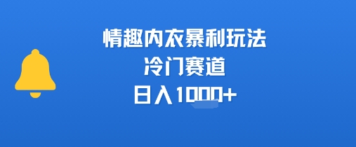 情趣内衣暴利玩法，冷门赛道，日入1k+-chywc