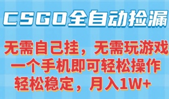CSGO自动捡漏项目，最新独家玩法，一个手机可操作，新手小白轻松月入1W+，操作简单易上手【揭秘】-chywc