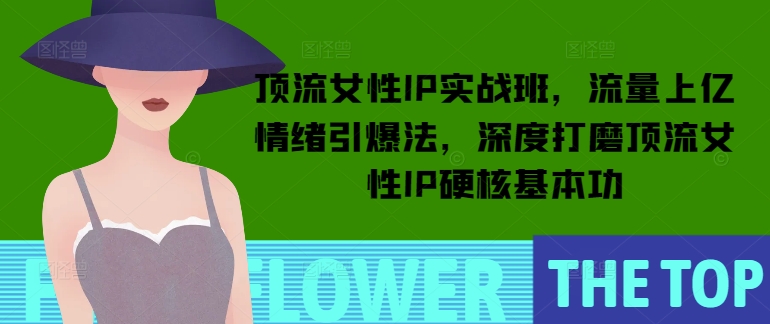 顶流女性IP实战班，流量上亿情绪引爆法，深度打磨顶流女性IP硬核基本功-chywc