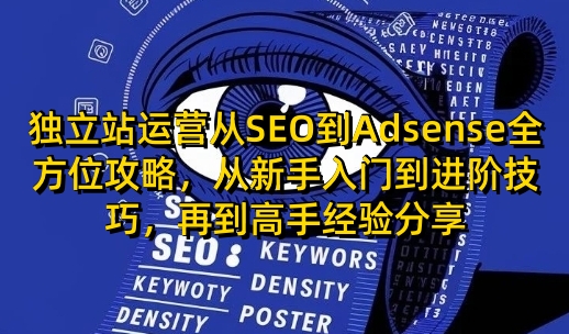 独立站运营从SEO到Adsense全方位攻略，从新手入门到进阶技巧，再到高手经验分享-chywc