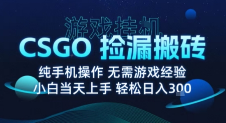 8月最新游戏搬砖，CSGO纯挂G，不需要玩游戏，实现真挂G，月入1W+【揭秘】-chywc