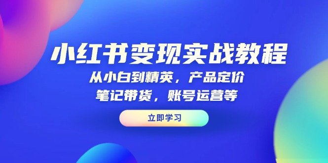小红书变现实战教程：从小白到精英，产品定价，笔记带货，账号运营等-chywc