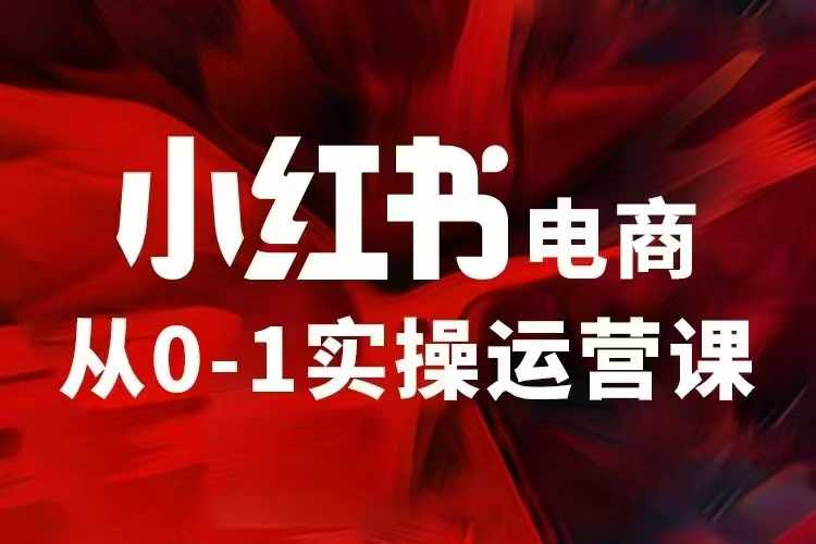 小红书电商运营，97节小红书vip内部课，带你实现小红书赚钱-chywc