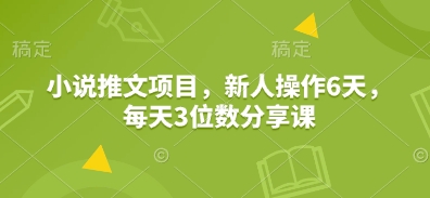 小说推文项目，新人操作6天，每天3位数分享课-chywc