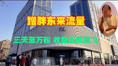 蹭胖东来流量，三天涨万粉，收益直接起飞-chywc