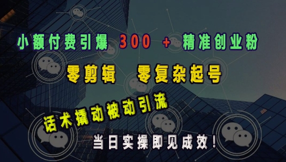 小额付费引爆 300 + 精准创业粉，零剪辑、零复杂起号，话术撬动被动引流，当日实操即见成效-chywc